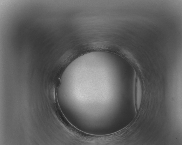 X0000060240021200511041309