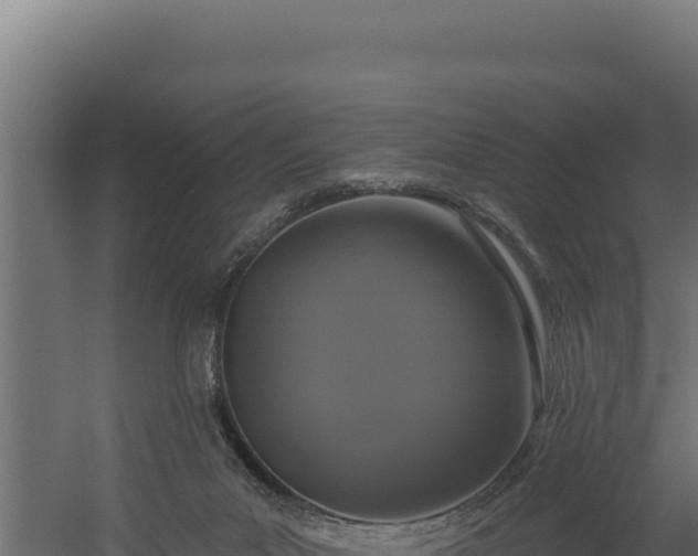 X0000060240023200511041309