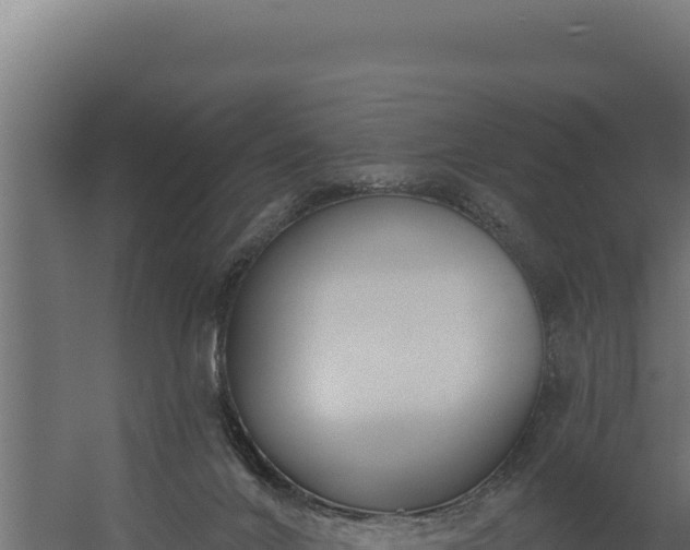 X0000060240024200511041309