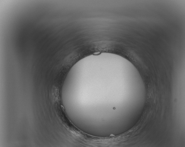 X0000060240025200511041309