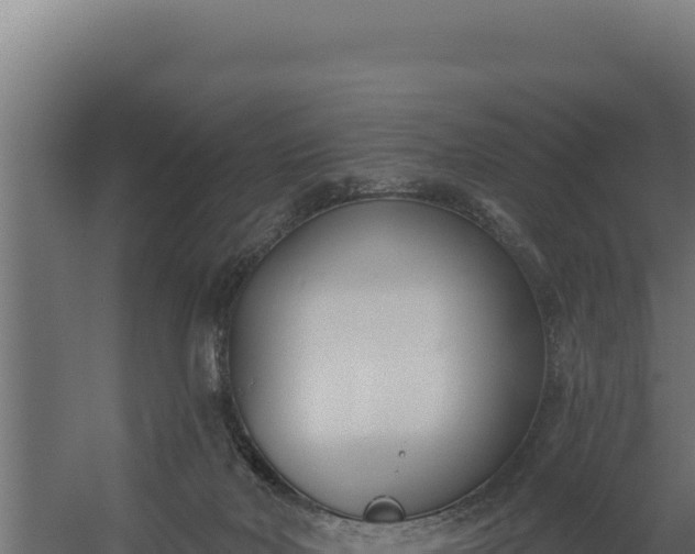 X0000060240026200511041309