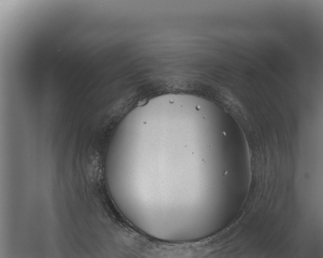 X0000060240029200511041309