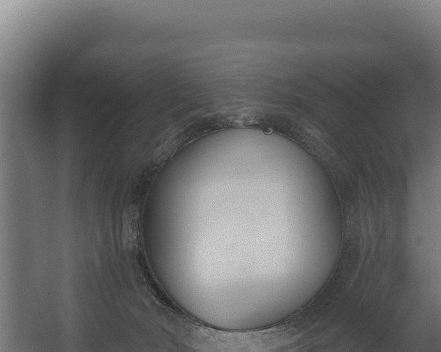 X0000060240030200511041308