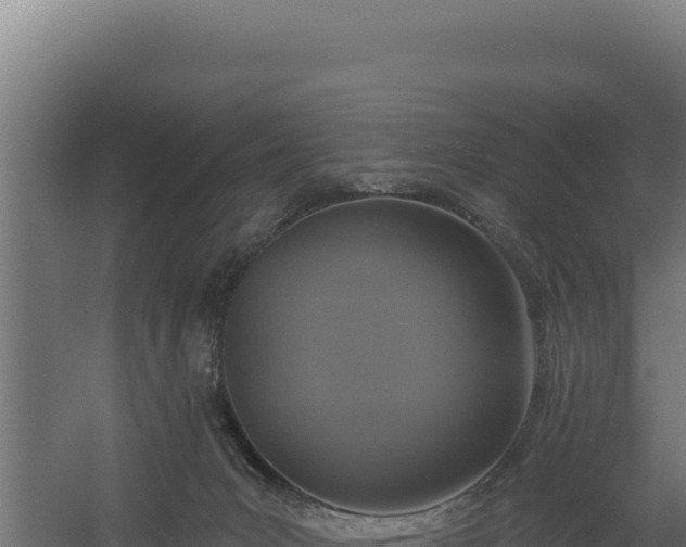 X0000060240031200511041308