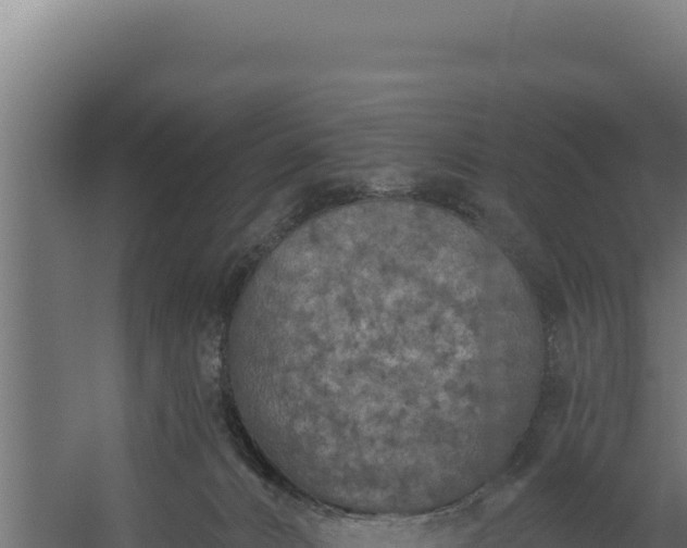 X0000060240032200511041308