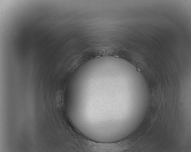 X0000060240034200511041308