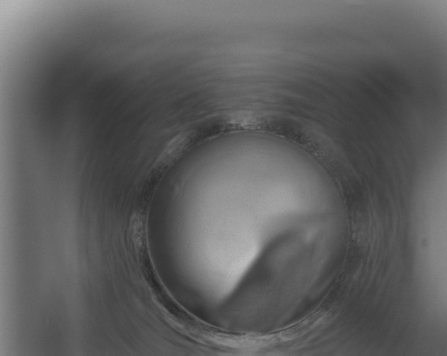 X0000060240036200511041308