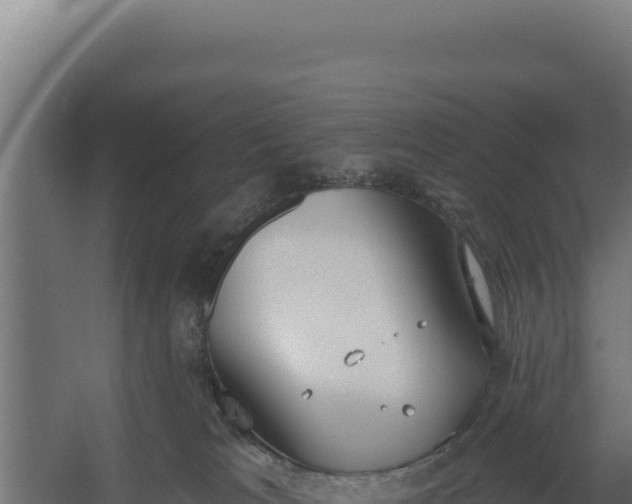 X0000060240037200511041308