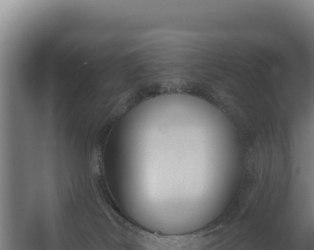 X0000060240038200511041308