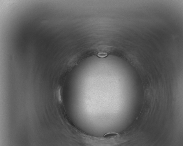 X0000060240042200511041308