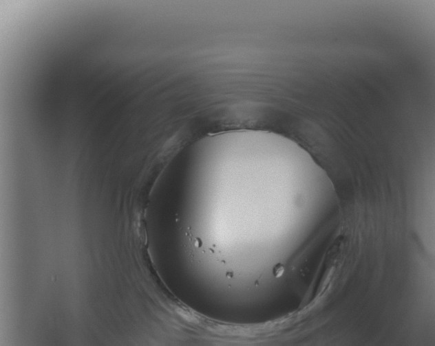 X0000060240045200511041308