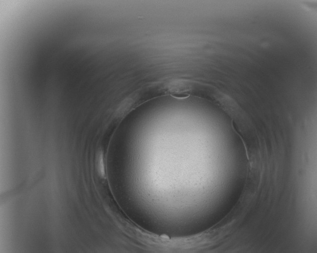 X0000060240046200511041308