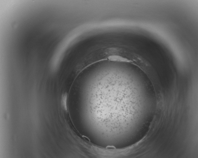 X0000060240047200511041308