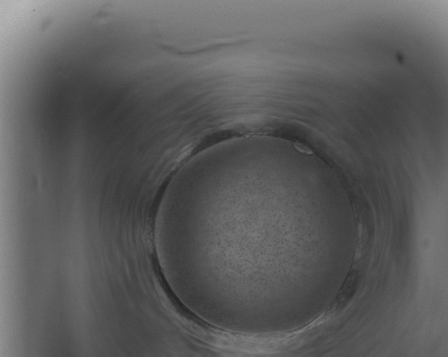 X0000060240048200511041308