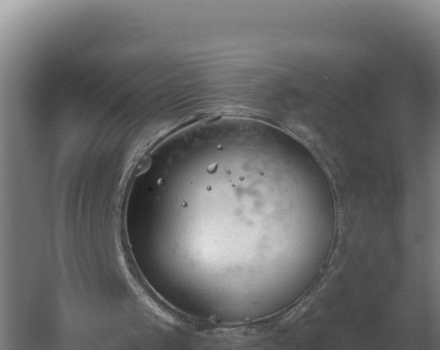 X0000060240049200511041307