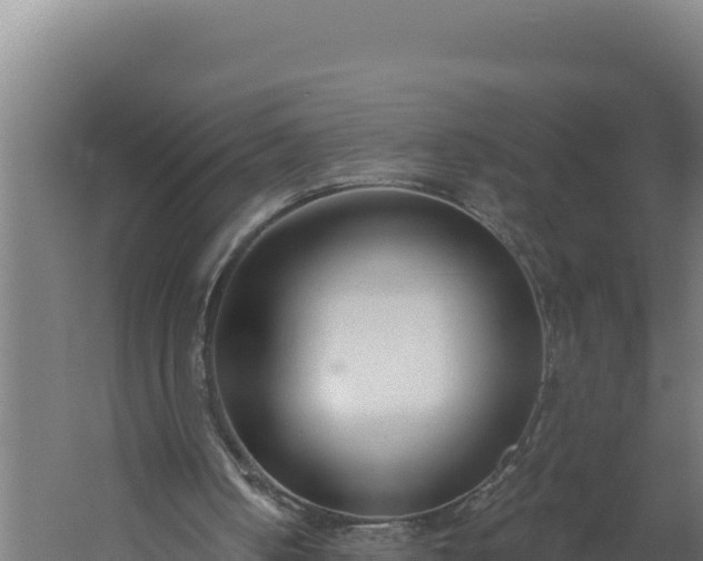 X0000060240050200511041307