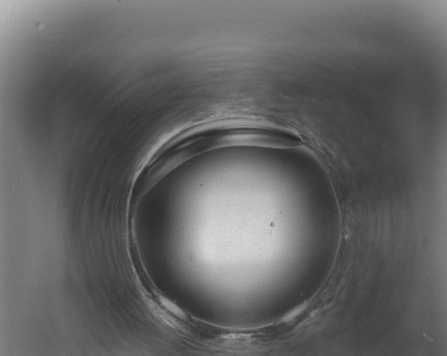 X0000060240052200511041307