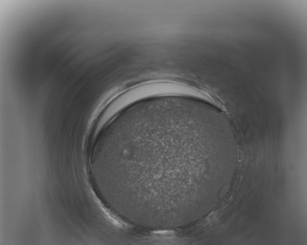 X0000060240053200511041307