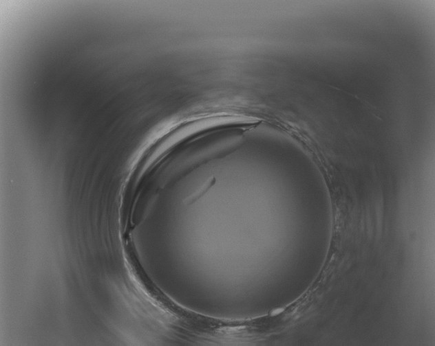 X0000060240054200511041307