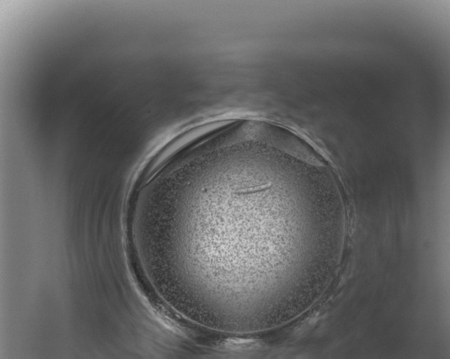 X0000060240055200511041307