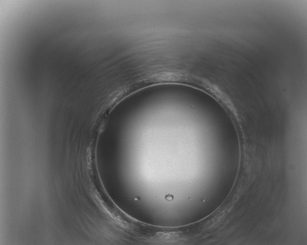 X0000060240057200511041308