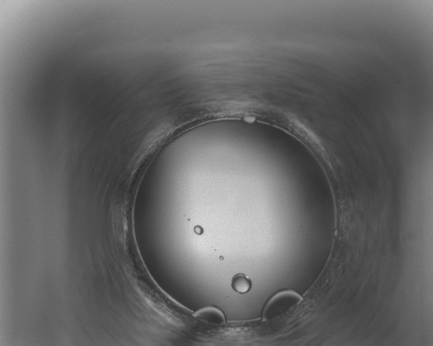 X0000060240059200511041308