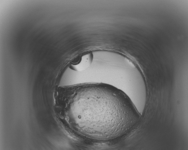 X0000060240061200511041308