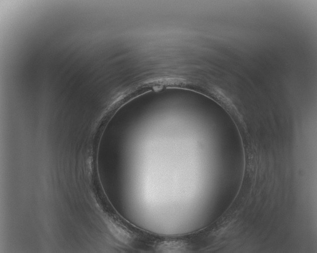 X0000060240063200511041308