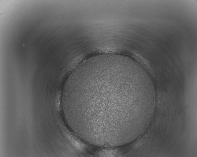 X0000060240065200511041308