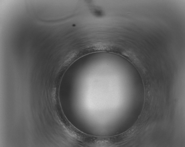 X0000060240066200511041308