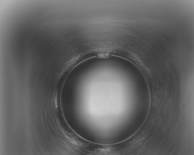 X0000060240068200511041308