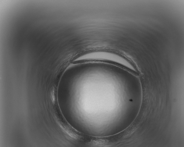 X0000060240069200511041308