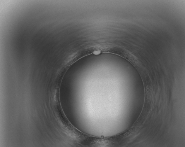 X0000060240071200511041308