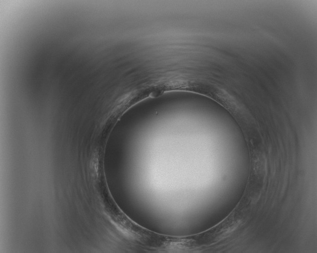 X0000060240072200511041308