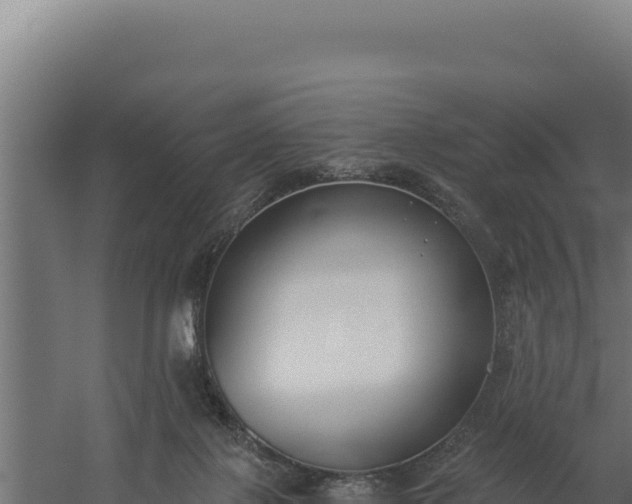 X0000060240075200511041308