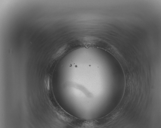 X0000060240076200511041308