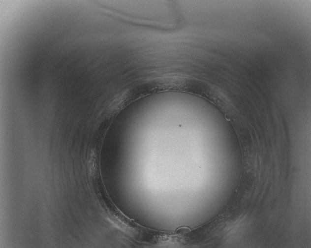 X0000060240077200511041308