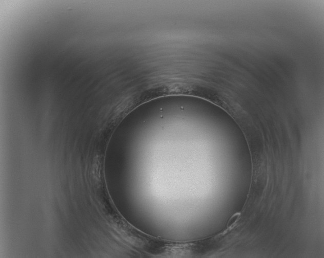 X0000060240078200511041308