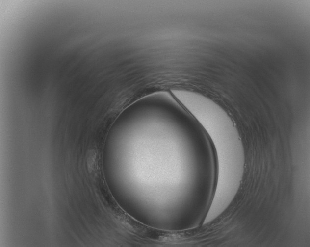 X0000060240079200511041308