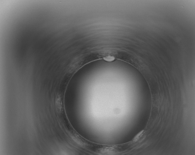 X0000060240086200511041308