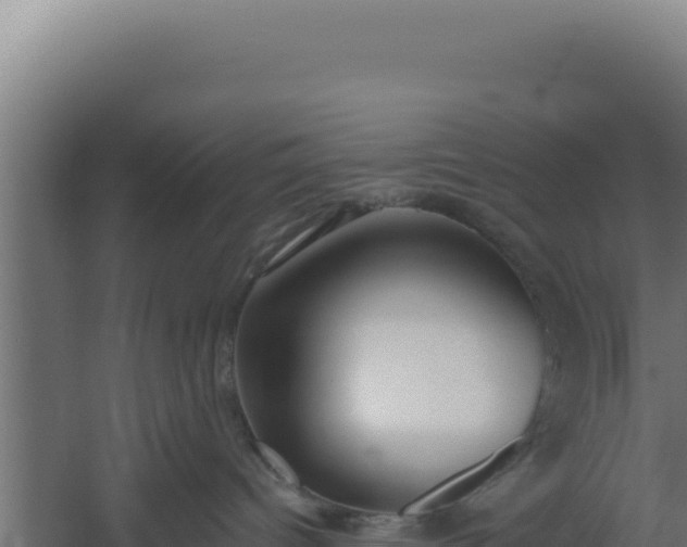 X0000060240096200511041308