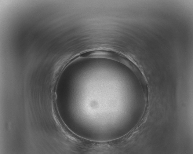 X0000060240097200511041307