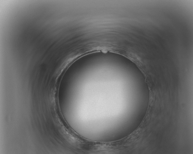 X0000060240098200511041307