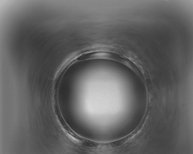 X0000060240101200511041307