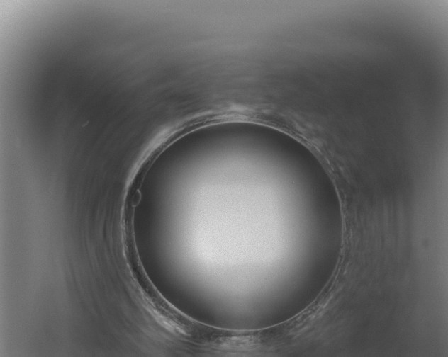 X0000060240102200511041307