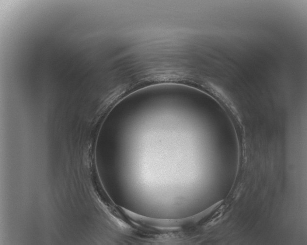 X0000060240105200511041307