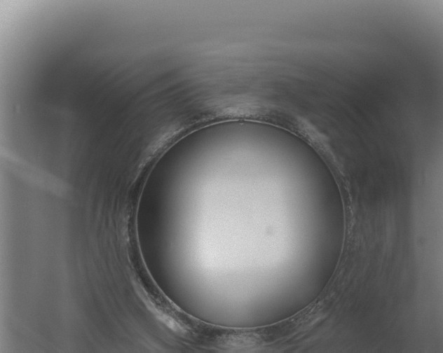 X0000060240106200511041307