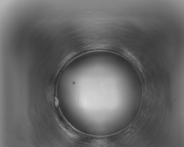 X0000060240107200511041307