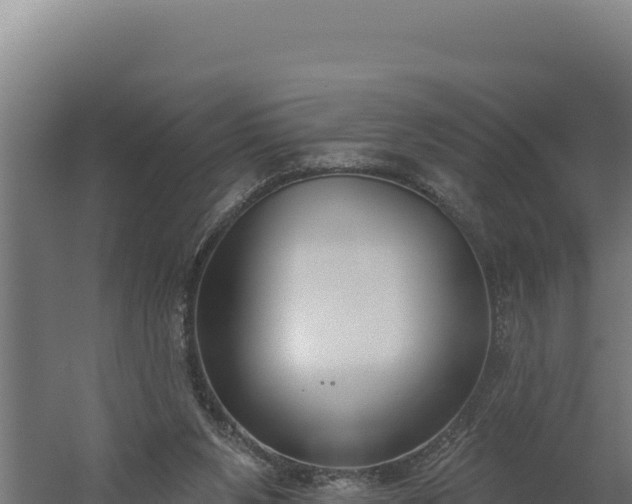 X0000060240111200511041307