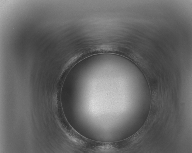 X0000060240112200511041307